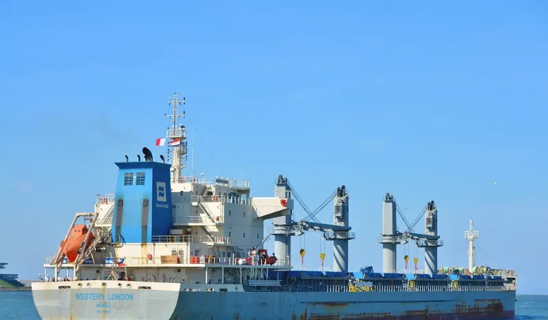 WESTERN LONDON Bulk Carrier IMO 9700005 photo 9