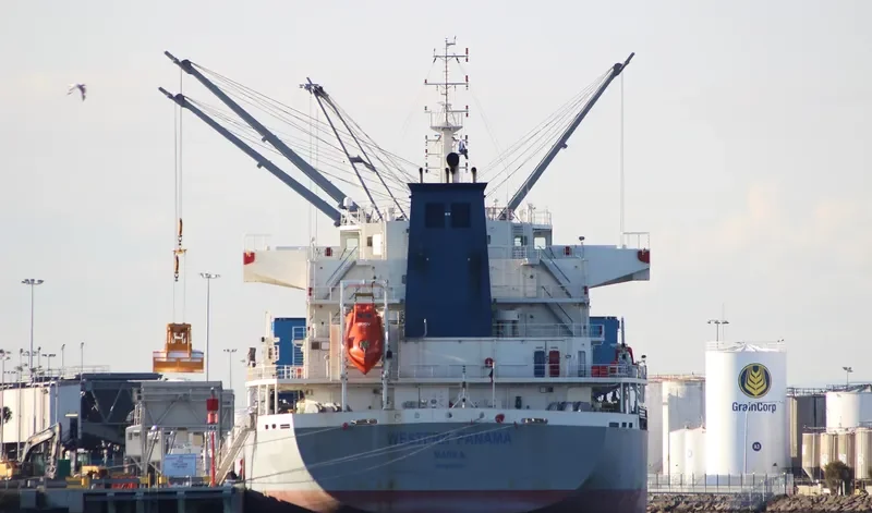 WESTERN PANAMA Bulk Carrier IMO 9700017 photo 6