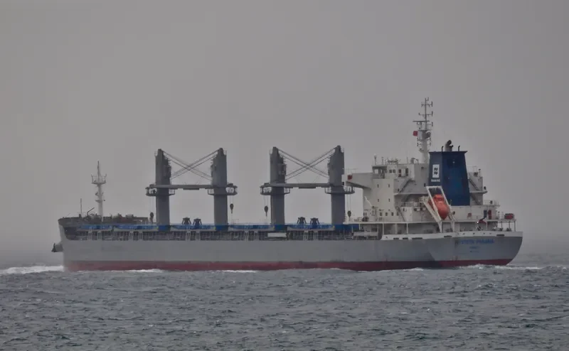 WESTERN PANAMA Bulk Carrier IMO 9700017 photo 7