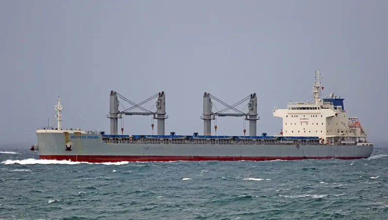 WESTERN PANAMA Bulk Carrier IMO 9700017 photo 9
