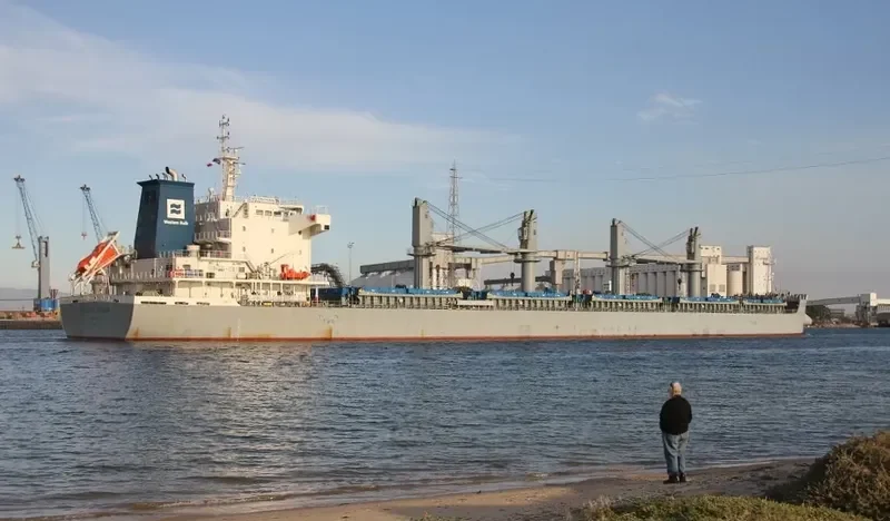 WESTERN PANAMA Bulk Carrier IMO 9700017 photo 10