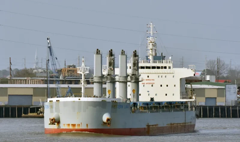 WESTERN LIMA Bulk Carrier IMO 9700029 photo 7