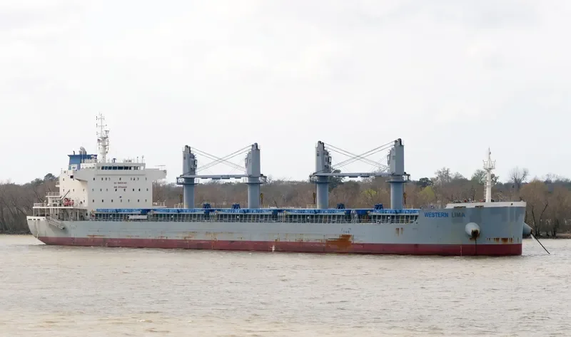 WESTERN LIMA Bulk Carrier IMO 9700029 photo 9