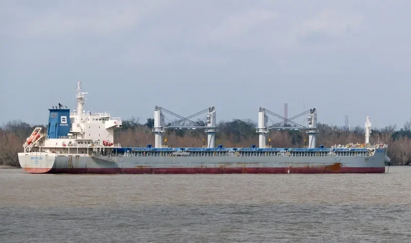 WESTERN LIMA Bulk Carrier IMO 9700029 photo 10
