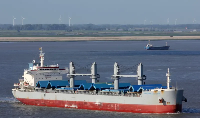 WESTERN DURBAN Bulk Carrier IMO 9700031 photo 2
