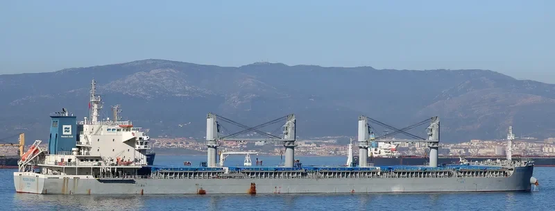 WESTERN DURBAN Bulk Carrier IMO 9700031 photo 3