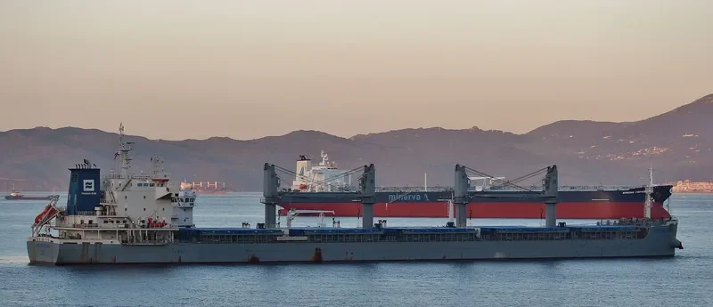 WESTERN DURBAN Bulk Carrier IMO 9700031 photo 5