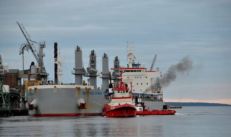WESTERN DURBAN Bulk Carrier IMO 9700031 photo 9