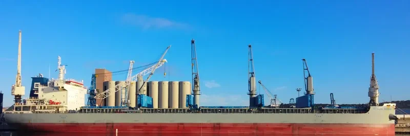WESTERN DURBAN Bulk Carrier IMO 9700031 photo 10