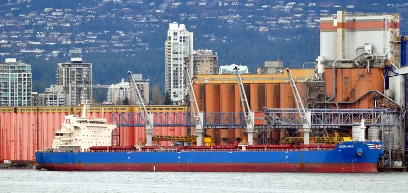 SBI PUMA Bulk Carrier IMO 9700043 photo 4