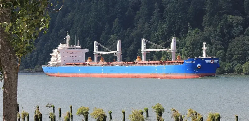 SBI PUMA Bulk Carrier IMO 9700043 photo 10