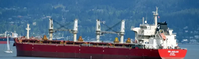 AIKATERINI Bulk Carrier IMO 9700055 photo 7
