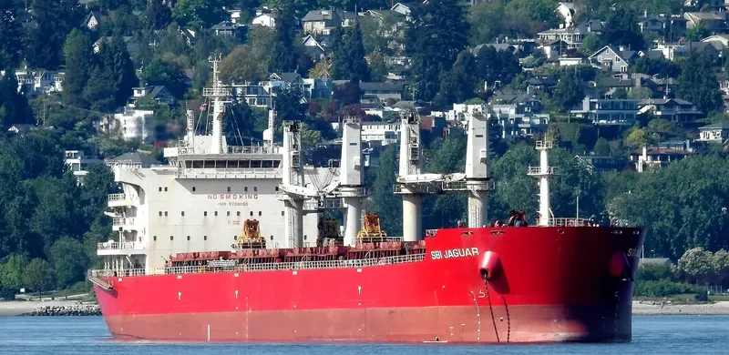 AIKATERINI Bulk Carrier IMO 9700055 photo 8