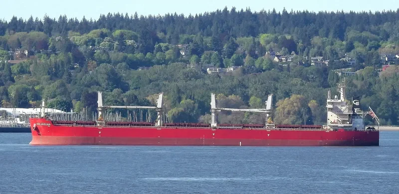 AIKATERINI Bulk Carrier IMO 9700055 photo 9
