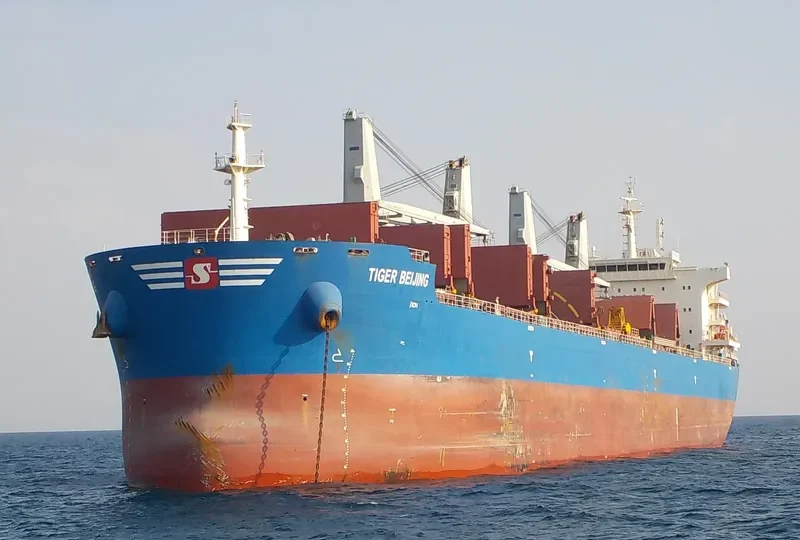 ADAM SCHULTE Bulk Carrier IMO 9700067