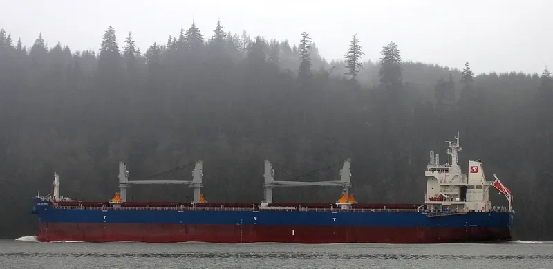 ADAM SCHULTE Bulk Carrier IMO 9700067 photo 2