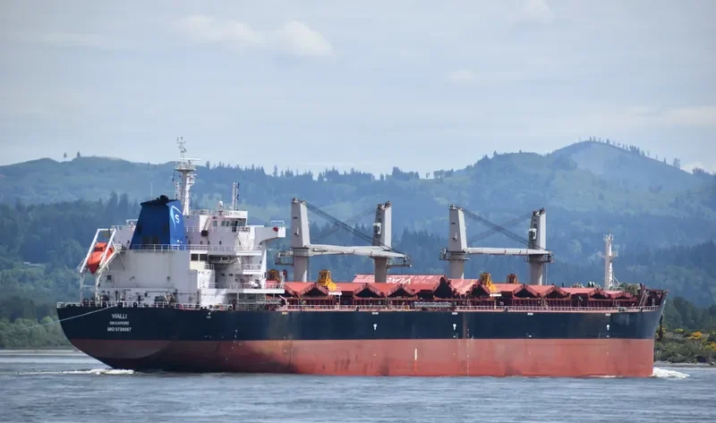 ADAM SCHULTE Bulk Carrier IMO 9700067 photo 5