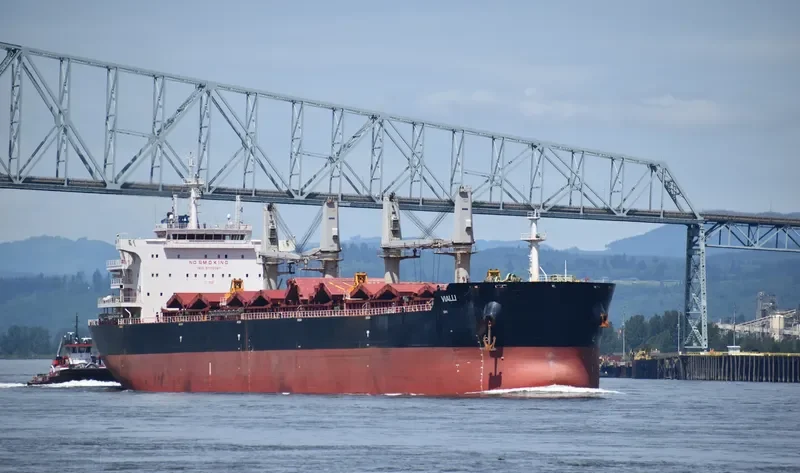 ADAM SCHULTE Bulk Carrier IMO 9700067 photo 8