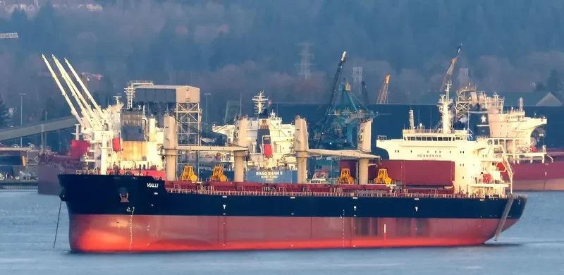 ADAM SCHULTE Bulk Carrier IMO 9700067 photo 9