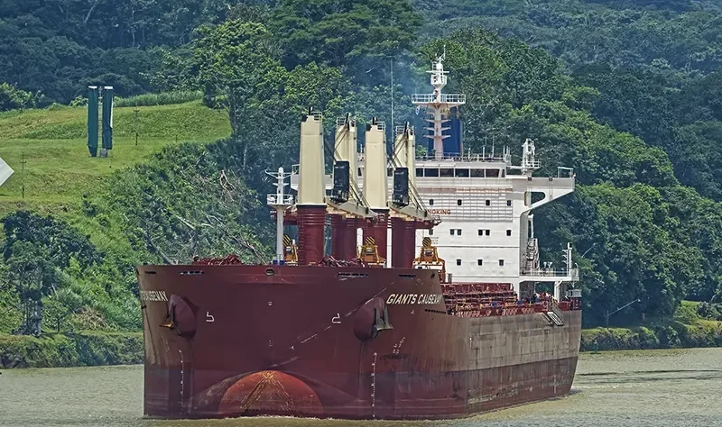 GIANTS CAUSEWAY Bulk Carrier IMO 9700081
