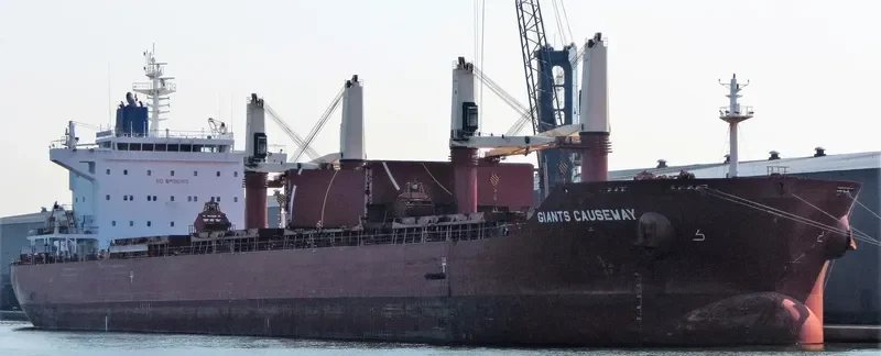 GIANTS CAUSEWAY Bulk Carrier IMO 9700081 photo 5