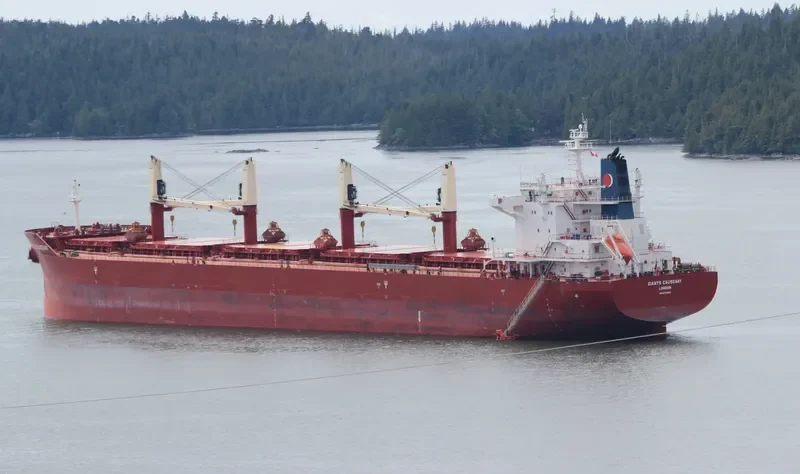 GIANTS CAUSEWAY Bulk Carrier IMO 9700081 photo 9