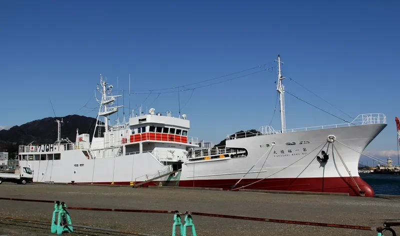 FUKUSEKI.MARU NO1 General Cargo IMO 9700093 photo 2