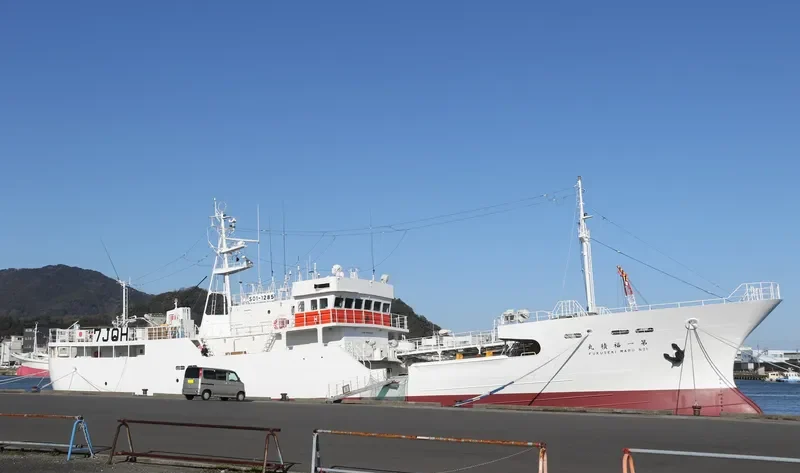 FUKUSEKI.MARU NO1 General Cargo IMO 9700093 photo 9