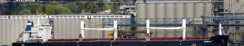 ARABELLA Bulk Carrier IMO 9700122 photo 4