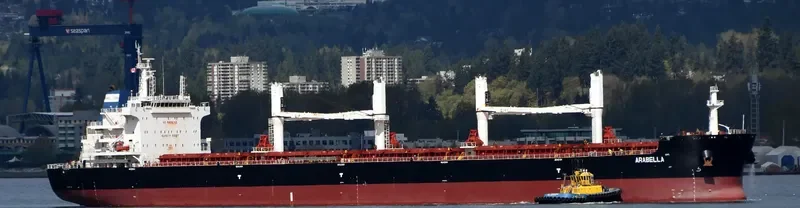 ARABELLA Bulk Carrier IMO 9700122 photo 5