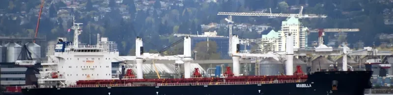 ARABELLA Bulk Carrier IMO 9700122 photo 6