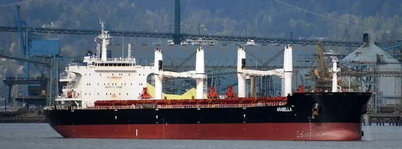 ARABELLA Bulk Carrier IMO 9700122 photo 7