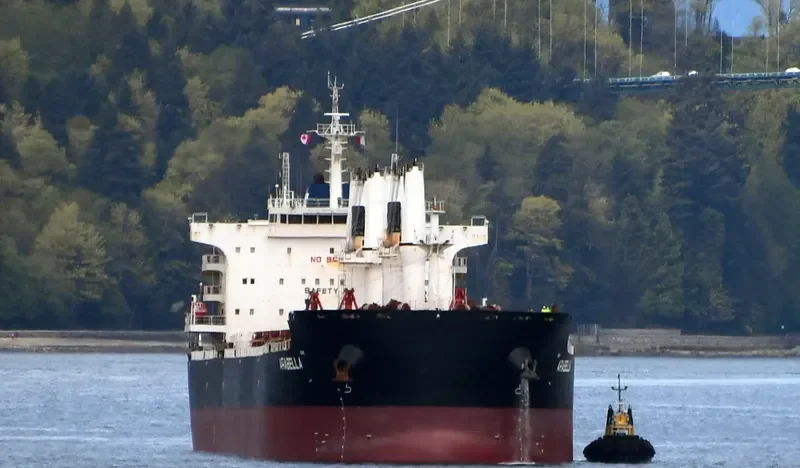 ARABELLA Bulk Carrier IMO 9700122 photo 8