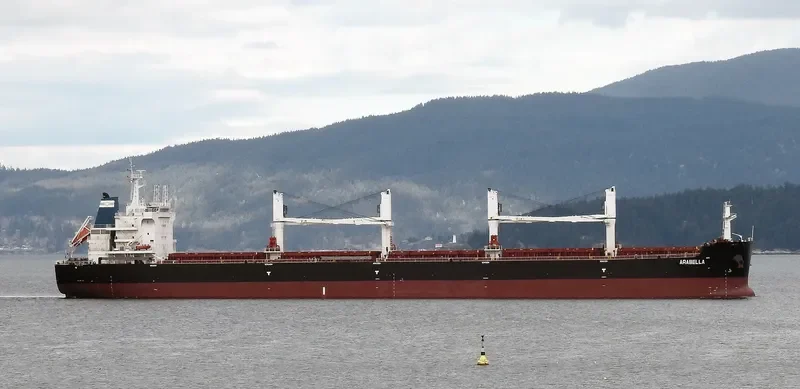 ARABELLA Bulk Carrier IMO 9700122 photo 9