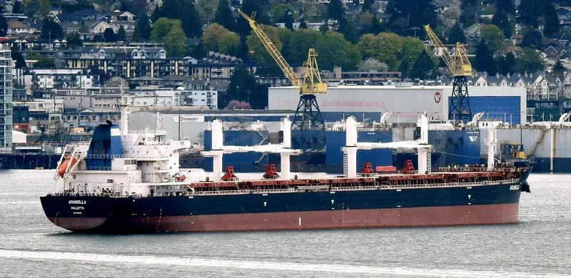 ARABELLA Bulk Carrier IMO 9700122 photo 10