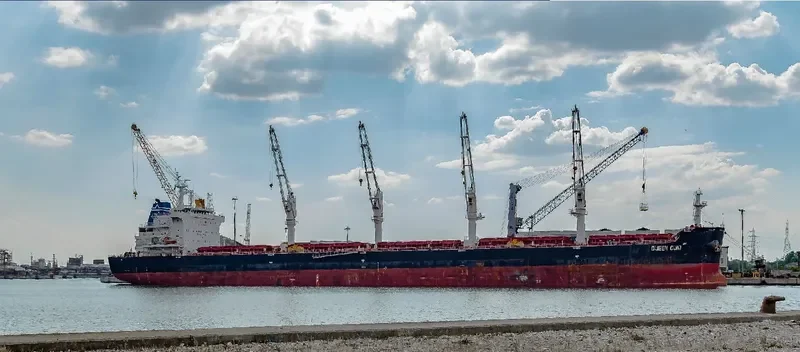 CAPE TOWN EAGLE Bulk Carrier IMO 9700134