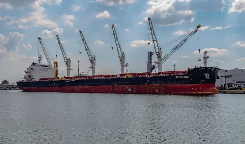 CAPE TOWN EAGLE Bulk Carrier IMO 9700134 photo 2