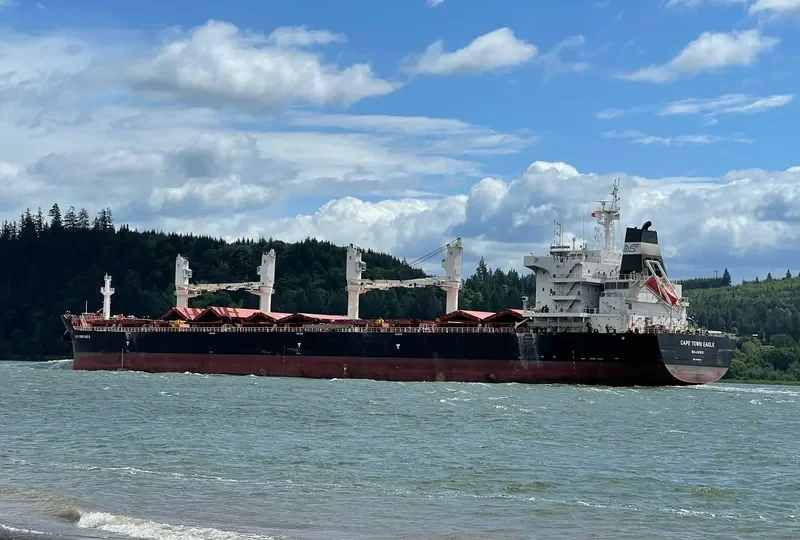 CAPE TOWN EAGLE Bulk Carrier IMO 9700134 photo 3