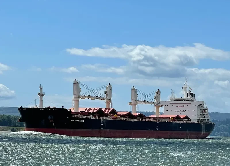 CAPE TOWN EAGLE Bulk Carrier IMO 9700134 photo 4