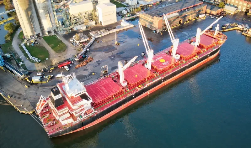CAPE TOWN EAGLE Bulk Carrier IMO 9700134 photo 6