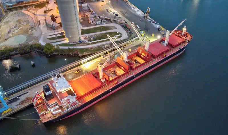 CAPE TOWN EAGLE Bulk Carrier IMO 9700134 photo 8