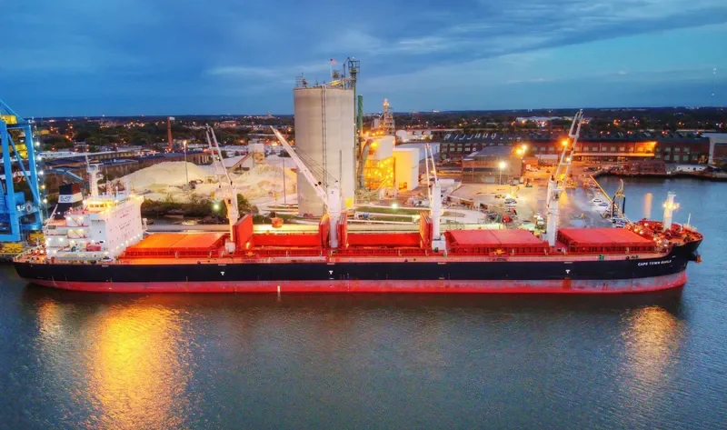 CAPE TOWN EAGLE Bulk Carrier IMO 9700134 photo 9
