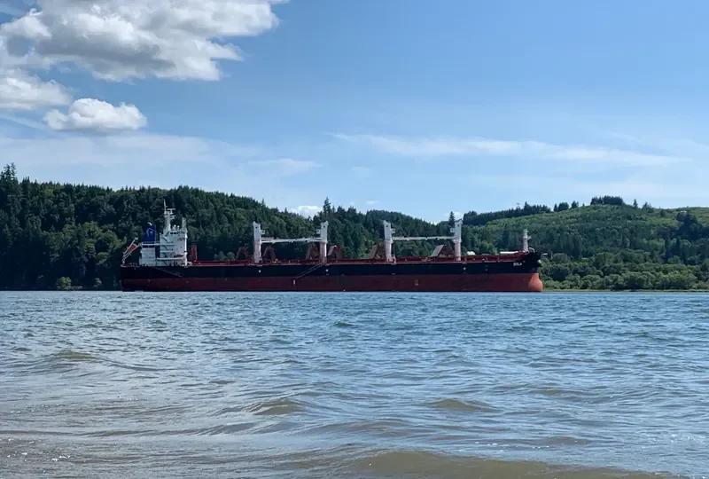 ZOLA Bulk Carrier IMO 9700146