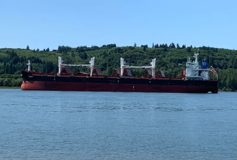 ZOLA Bulk Carrier IMO 9700146 photo 2