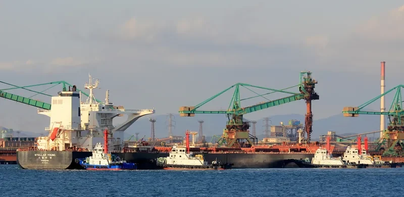 STELLAR YOUNG Bulk Carrier IMO 9700172 photo 2
