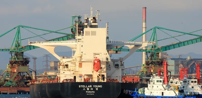 STELLAR YOUNG Bulk Carrier IMO 9700172 photo 3