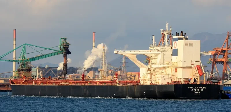 STELLAR YOUNG Bulk Carrier IMO 9700172 photo 4