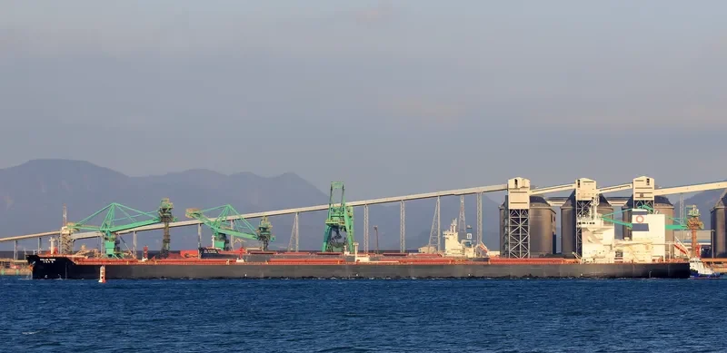 STELLAR YOUNG Bulk Carrier IMO 9700172 photo 6