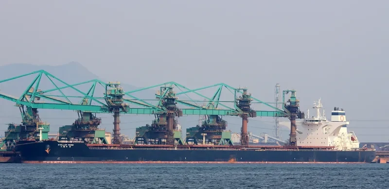 STELLAR YOUNG Bulk Carrier IMO 9700172 photo 8