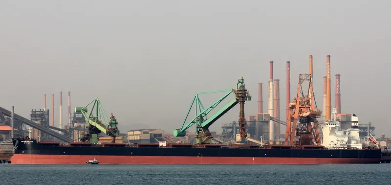 SOLAR DOLPHIN Bulk Carrier IMO 9700184 photo 2